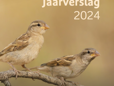 Cover jaarverslag 2024