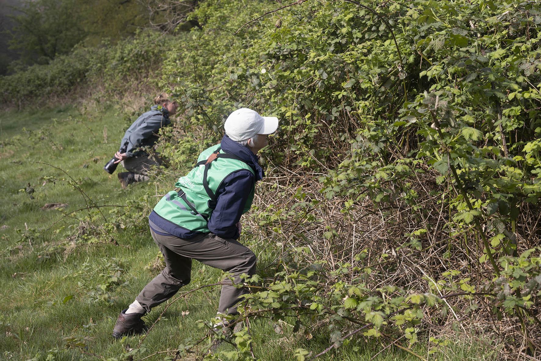 Annette op zoek naar merelnesten