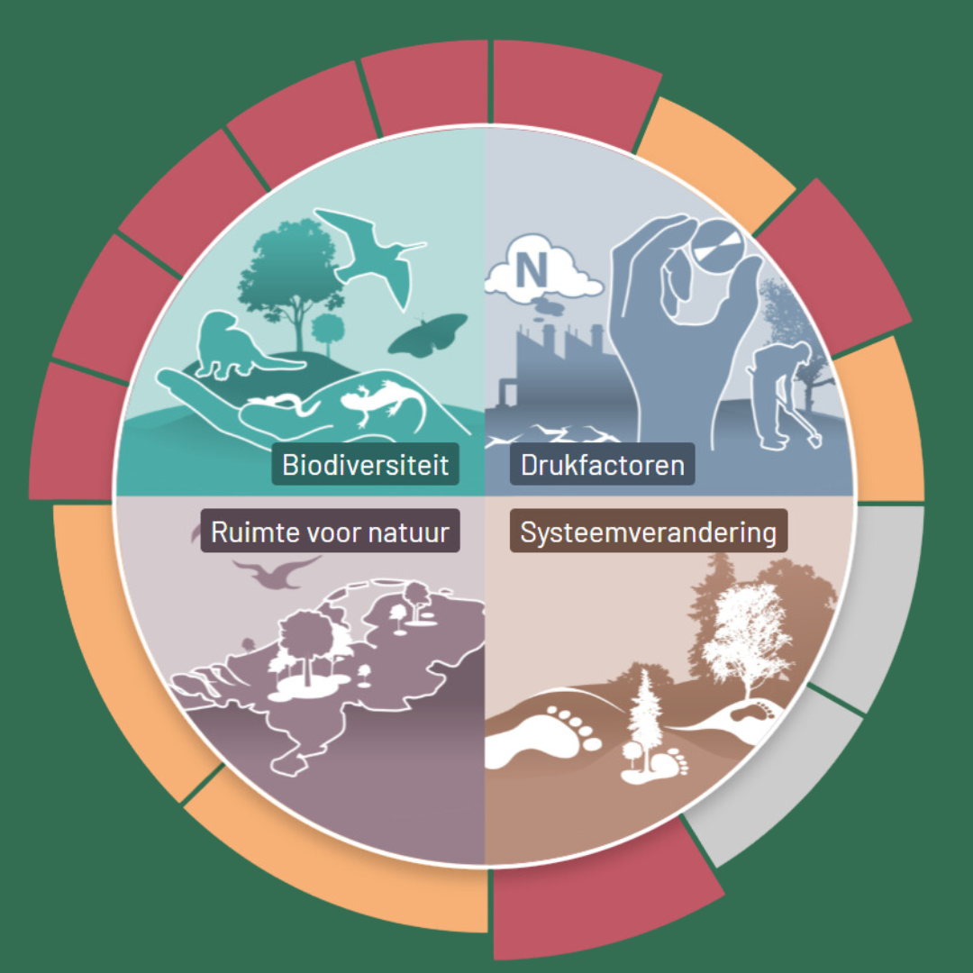 De vier thema's van het Dashboard Biodiversiteitsherstel