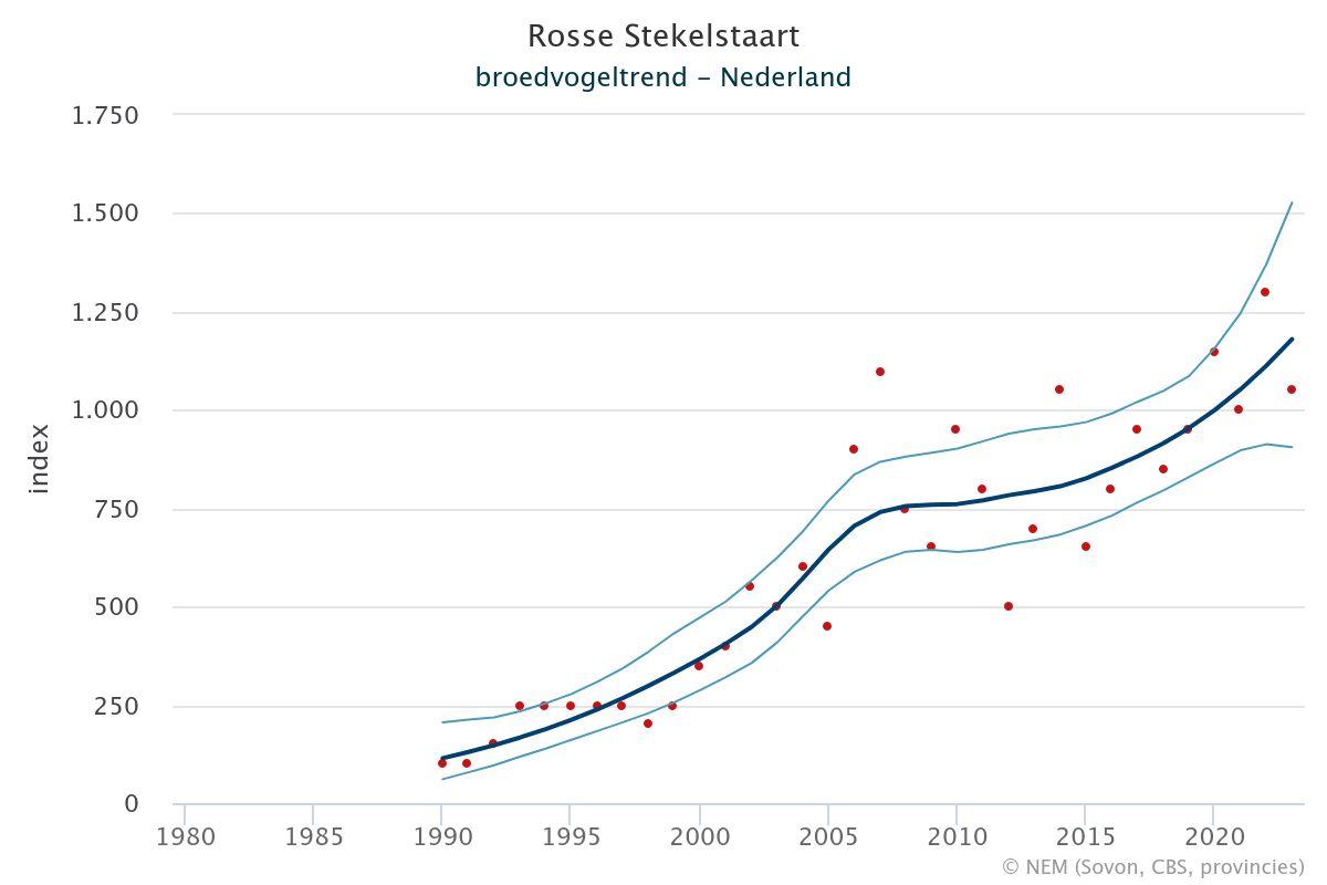 Broedvogeltrend Rosse Stekelstaart 