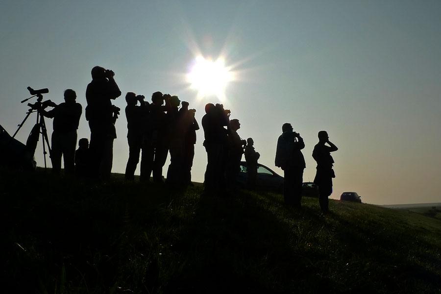 Vogelaars op telpost
