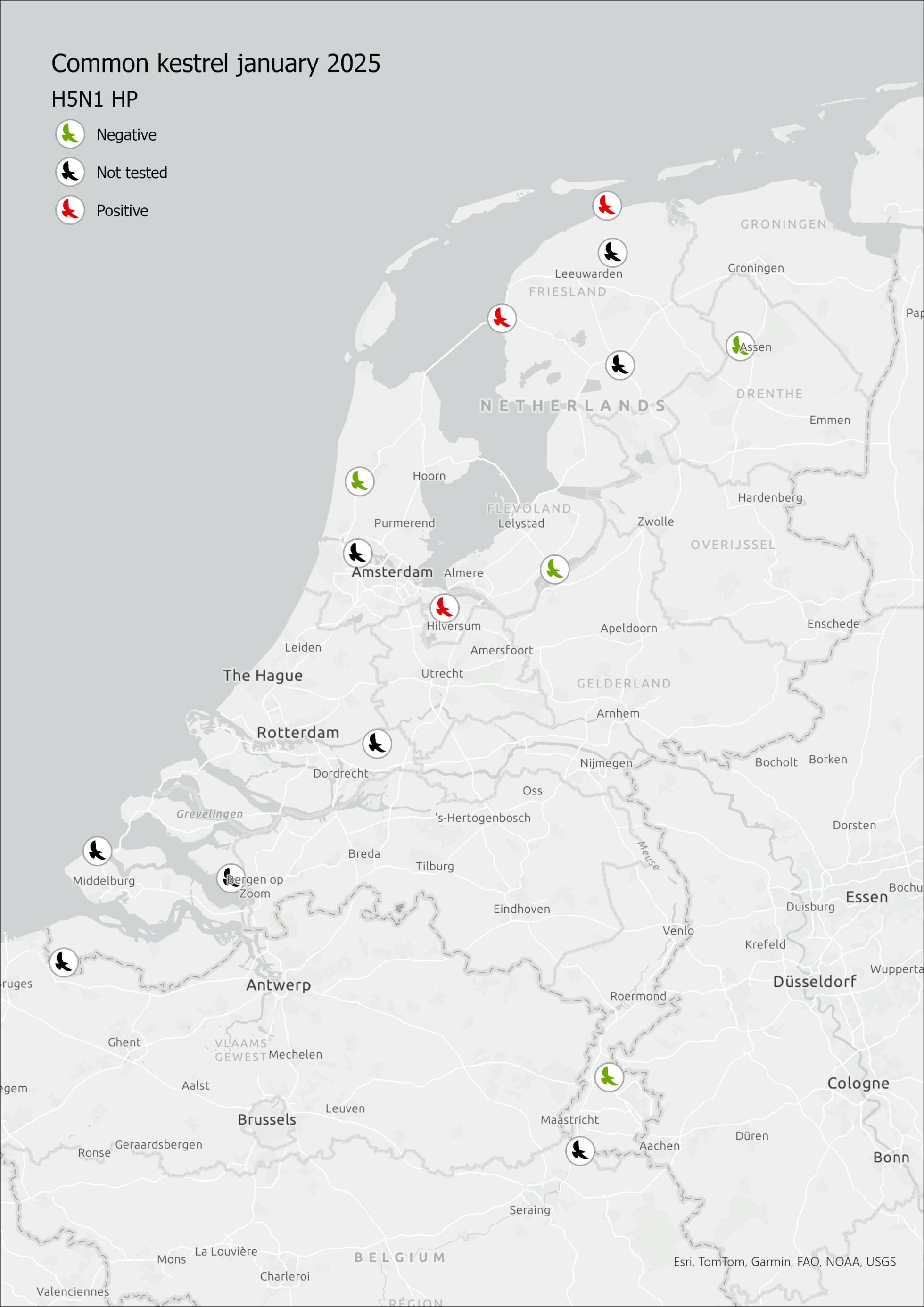 Figuur 1: Locaties van gemelde dode Torenvalken die getest zijn op besmettingen met H5N1. Drie Torenvalken zijn positief bevonden op besmetting met het virus.