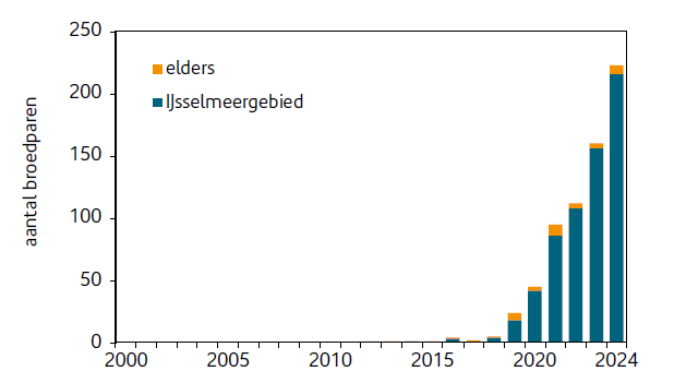 Figuur 3. Aantalsontwikkeling (paren) vanaf 2000 in het IJsselmeergebied en elders in het land.