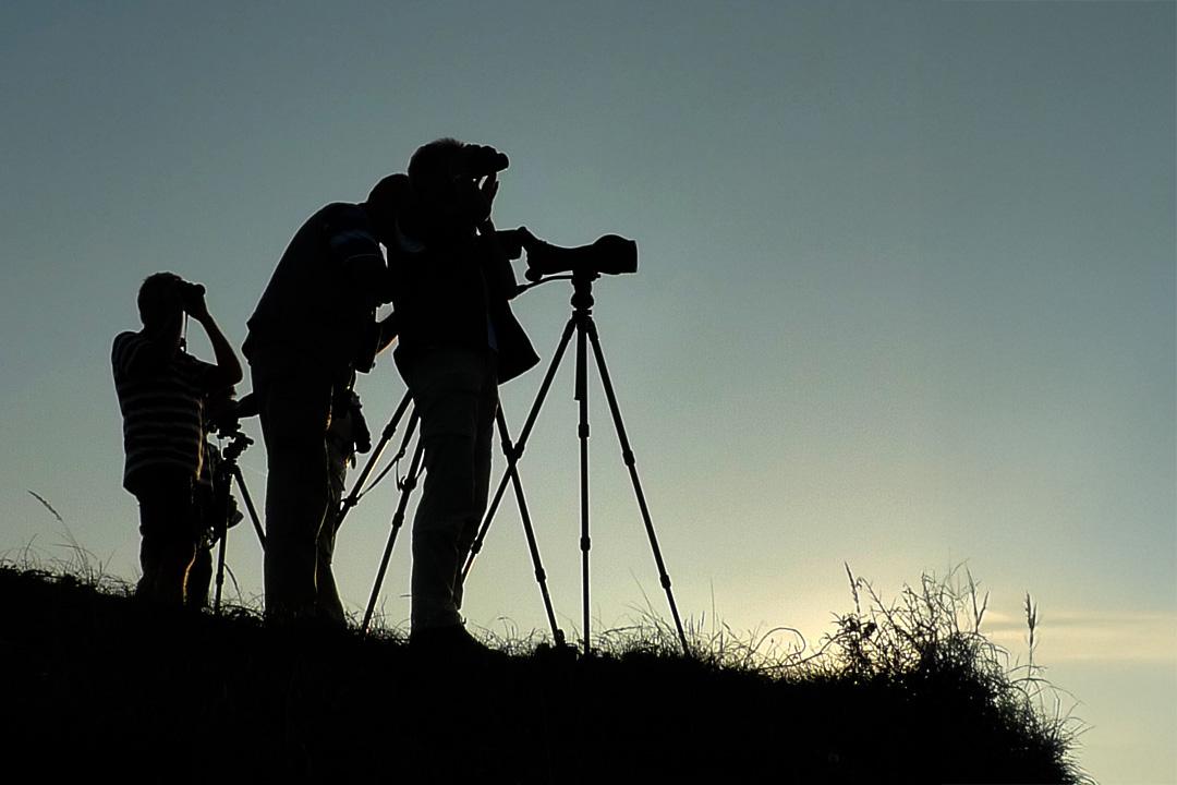 Vogelaars tellen watervogels