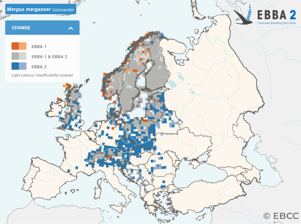 kaart EBBA2 Grote Zaagbek