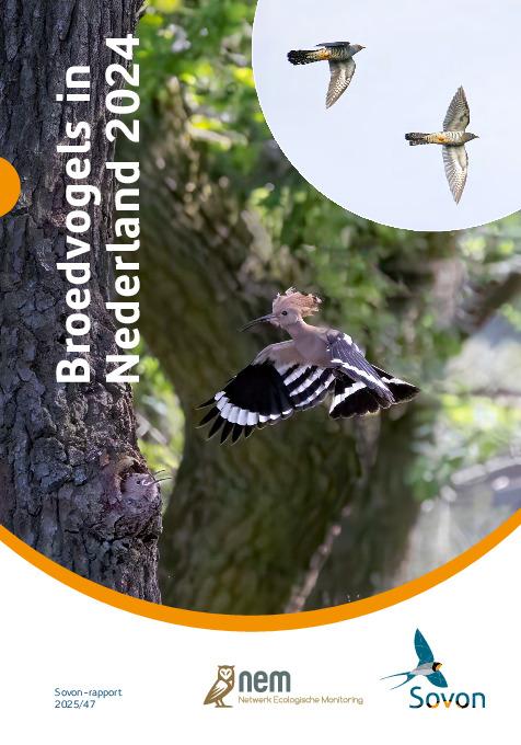 Broedvogelrapport 2024
