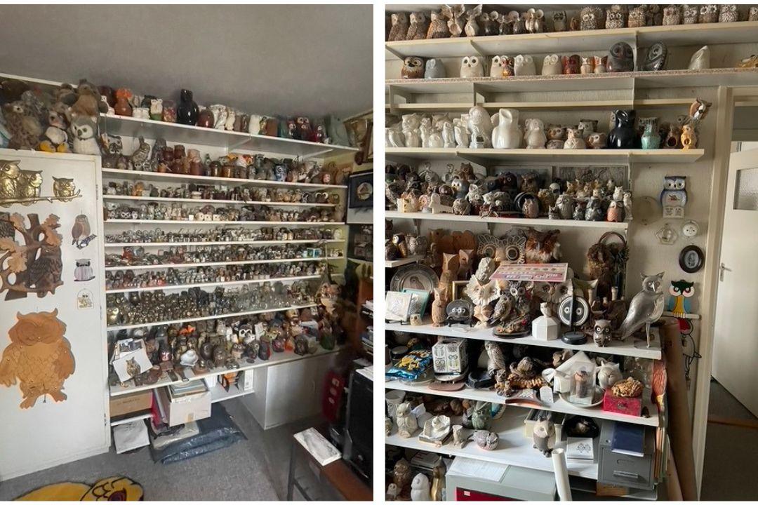 Een deel van de uilenverzameling