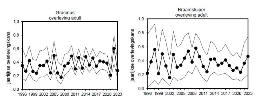 Overleving Braamsluiper en Grasmus