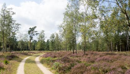 Kroondomein bij Vaassen