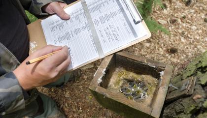 Nestkaart-invuller in actie