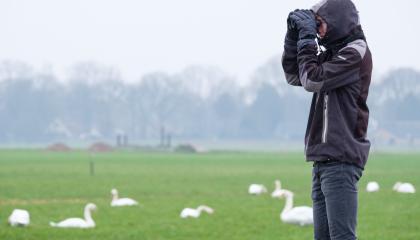 Een midwinterteller aan het werk