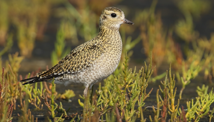 Cover jaarverslag 2023