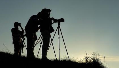 Vogelaars tellen watervogels